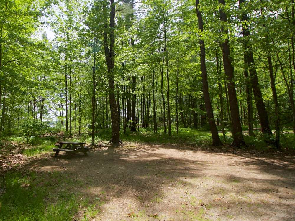 Interactive Campground Map - Middle Bay - Wolfe's Neck Oceanfront Camping