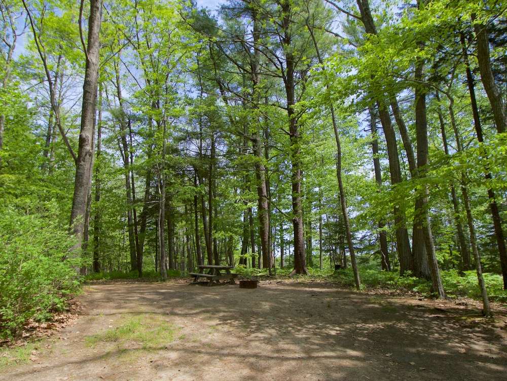 Interactive Campground Map - Middle Bay - Wolfe's Neck Oceanfront Camping