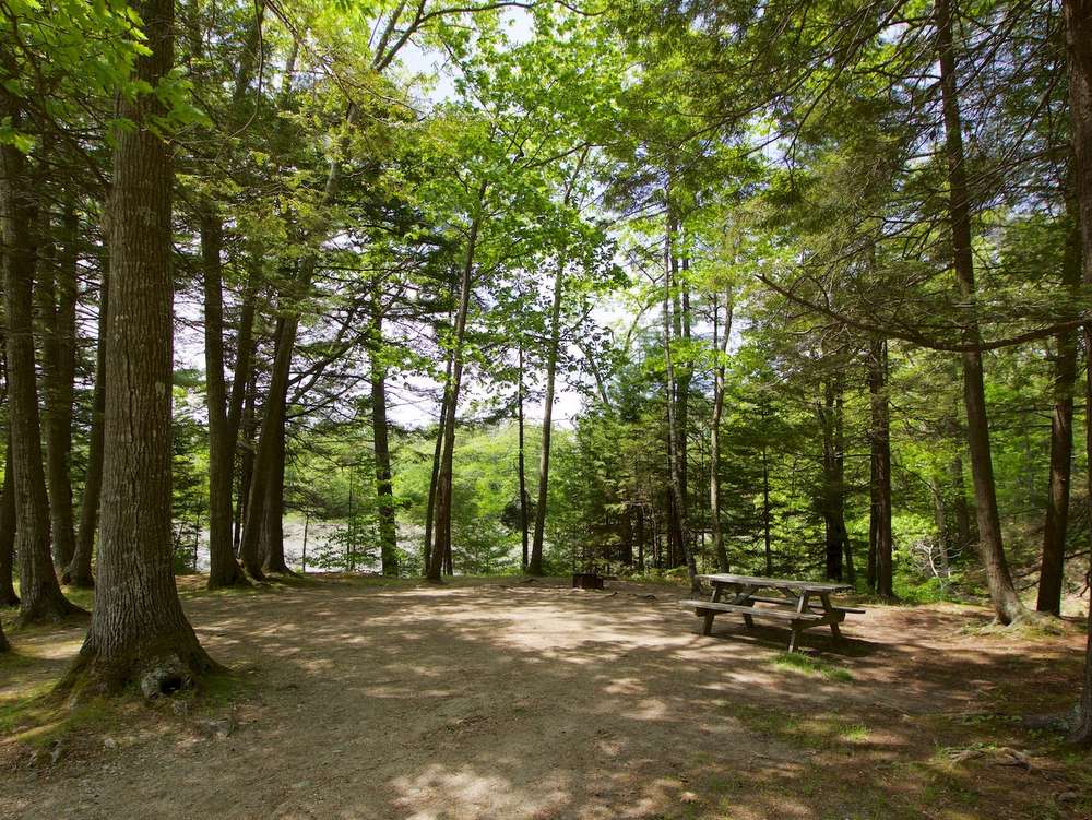 Interactive Campground Map - Middle Bay - Wolfe's Neck Oceanfront Camping