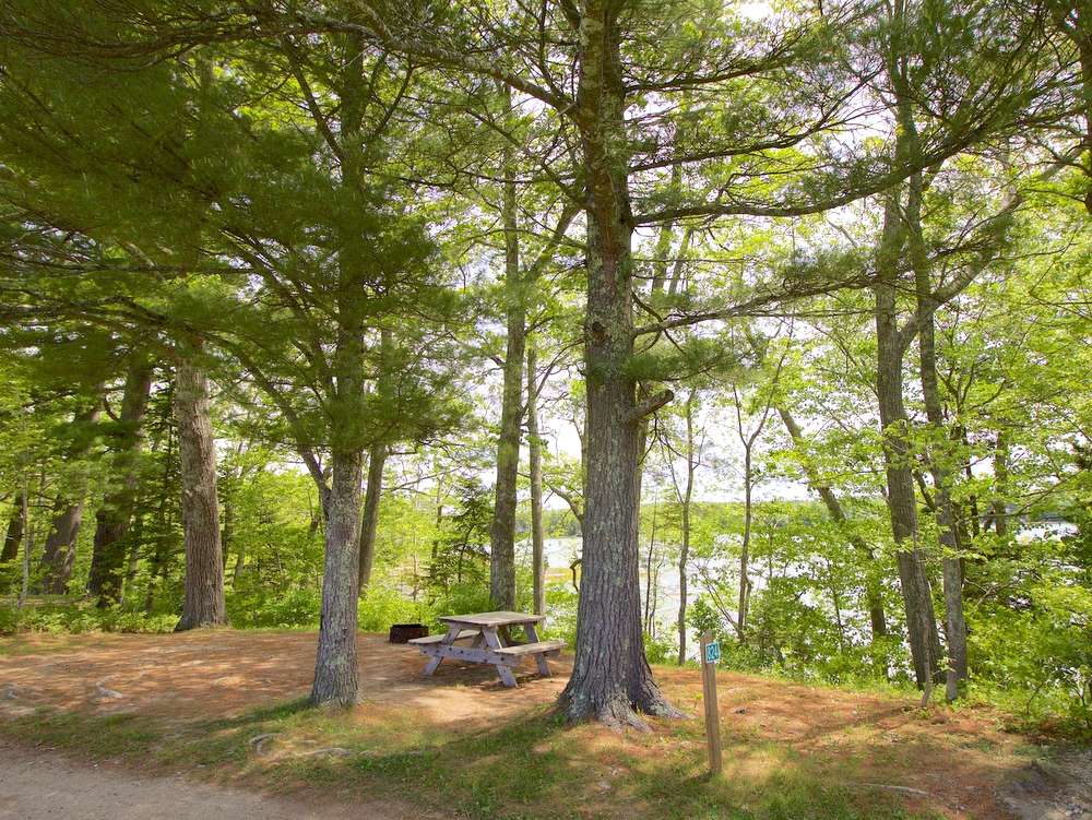 Interactive Campground Map - West Bay - Wolfe's Neck Oceanfront Camping