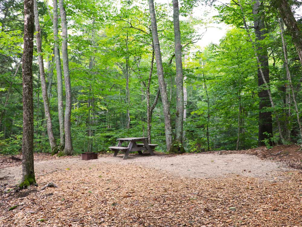 Interactive Campground Map - Quiet Cove - Wolfe's Neck Oceanfront Camping